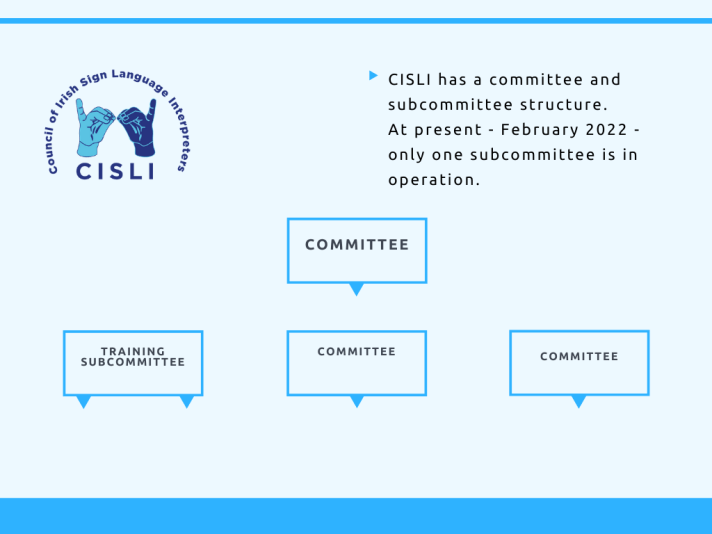 CISLI organisational structure